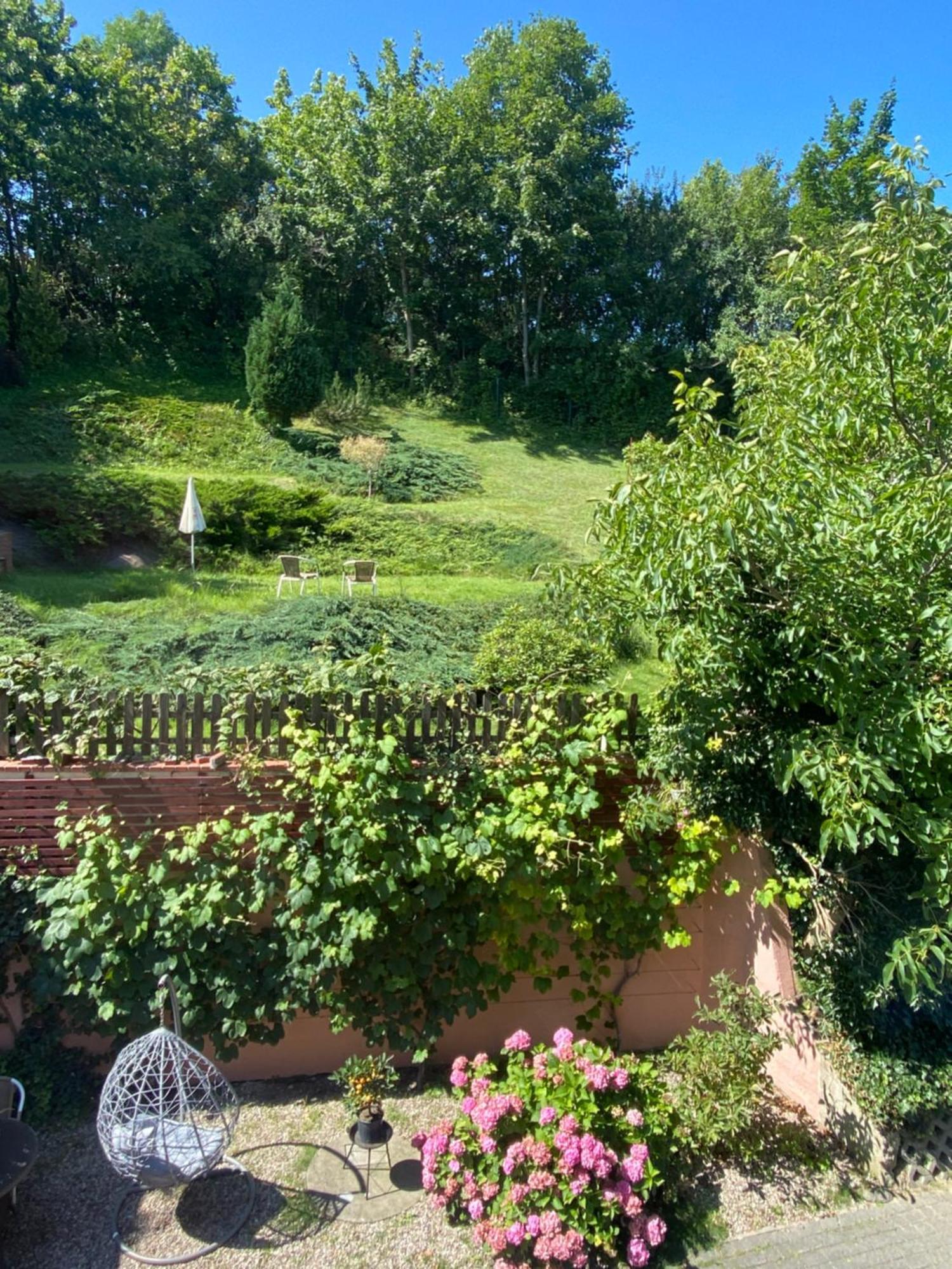 Apartament Urban Jungle Garden & Patio - Luksusowy W Gdyni